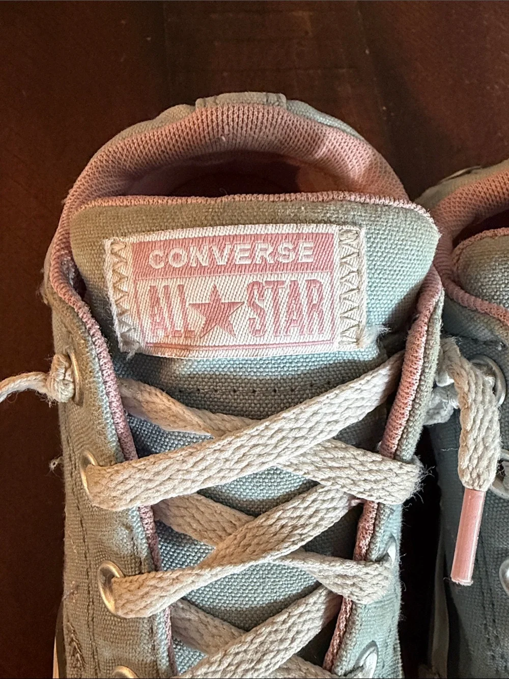 Converse Kids Low Top Sneakers in Light Blue with Pink Accents & Embroidery